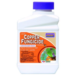 Bonide Copper Fungicide Concentrate