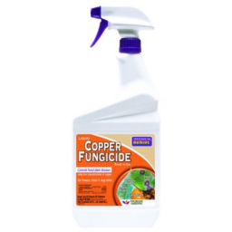 Bonide Copper Fungicide RTU Spray