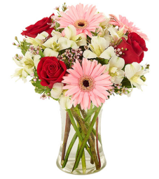 Florist Choice - Multi-Color Flower Delivery